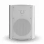 Уличная акустика TruAudio OL-5WT